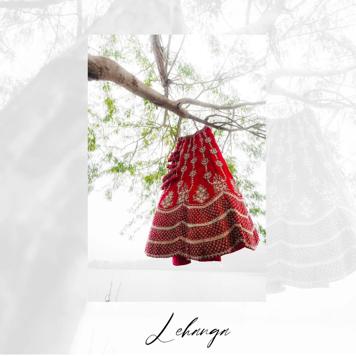 2765128202286790772_26188646745