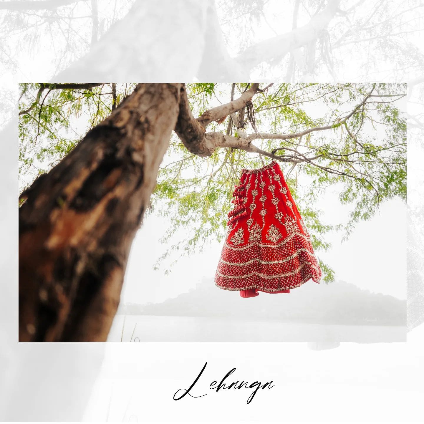 2765129417846192578_26188646745