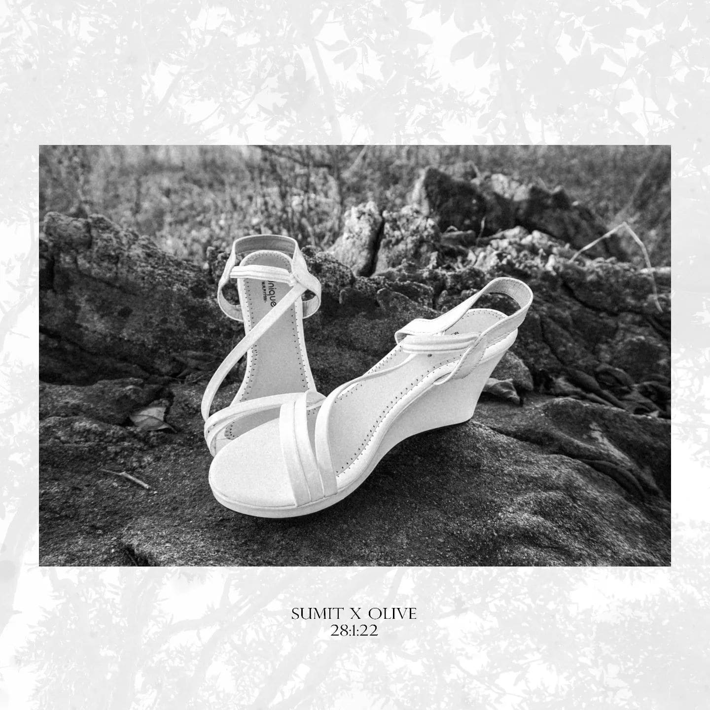 2769880510560062906_26188646745