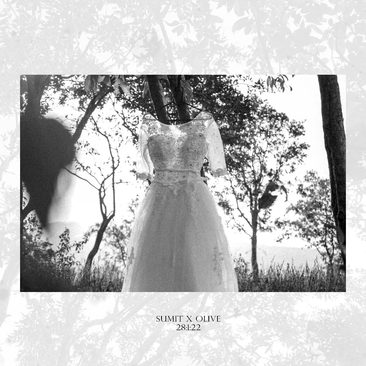 2769881521891136110_26188646745